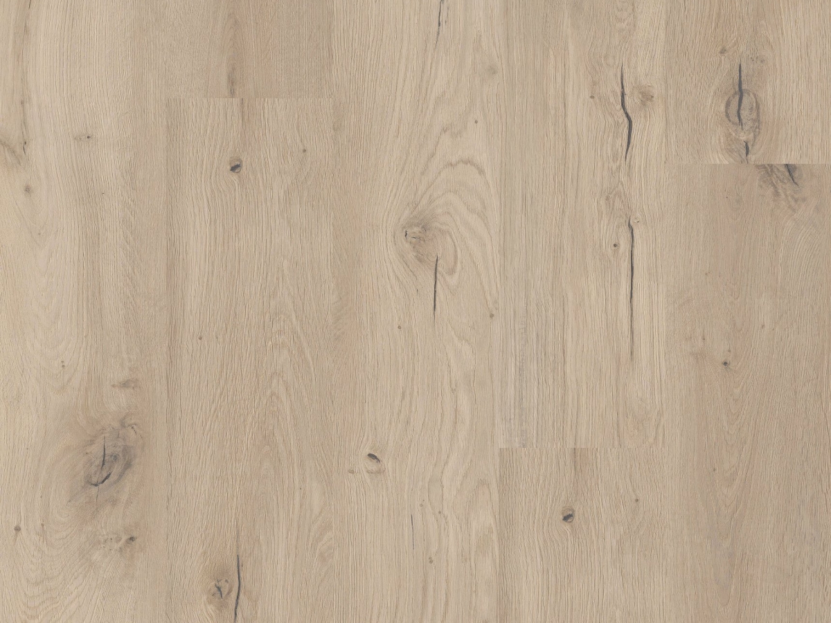 Vinylová podlaha lepená COREtec Flexile 1200 Forest