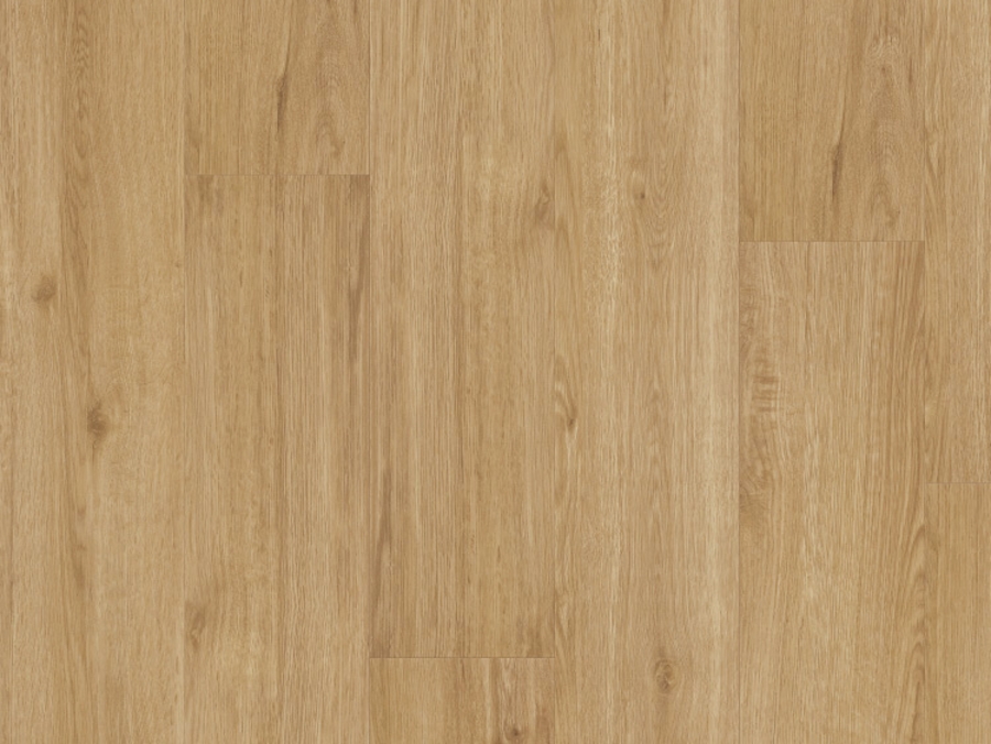 Vinylová podlaha lepená Thermofix PRO Wood Habr masiv