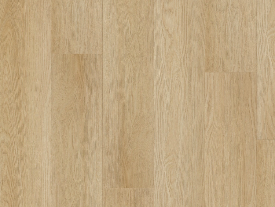 Vinylová podlaha lepená Thermofix PRO Wood Habr bílý