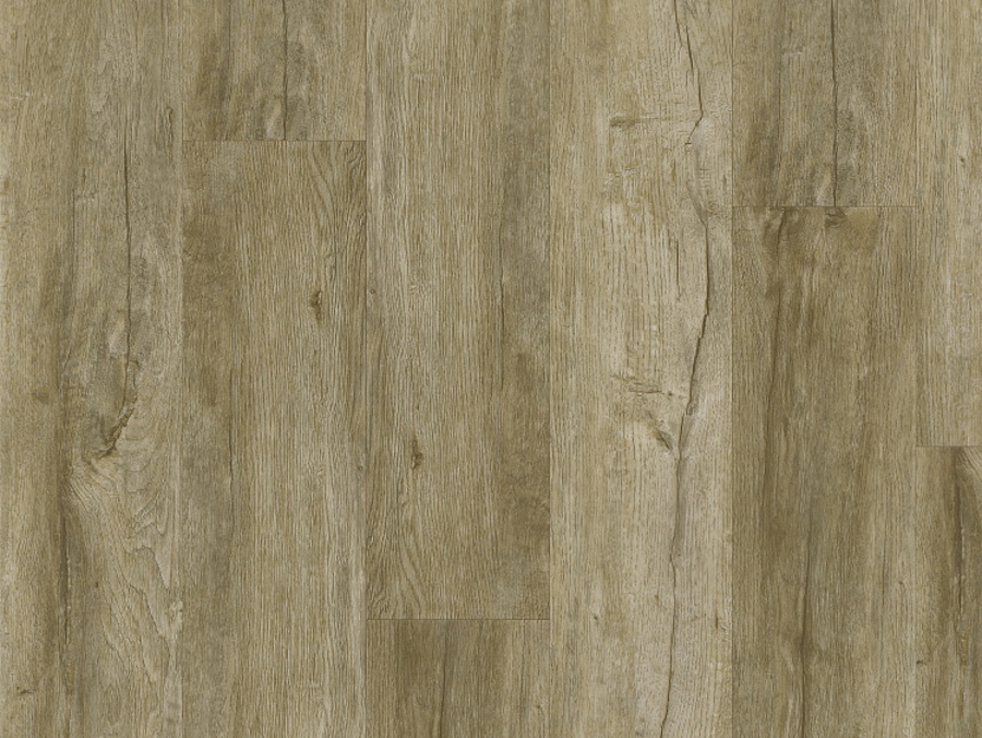 Vinylová podlaha lepená Thermofix PRO Wood Dub venkovský