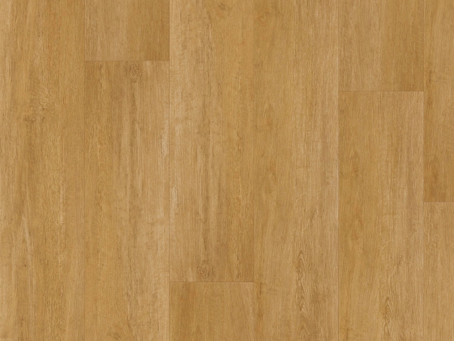 Vinylová podlaha lepená Thermofix PRO Wood Dub original