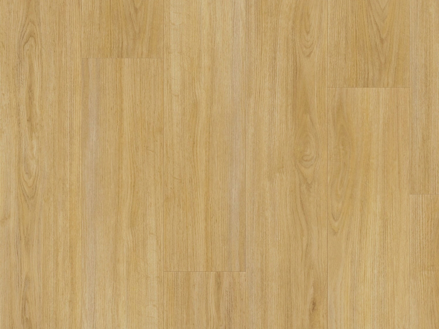 Vinylová podlaha lepená Thermofix PRO Wood Dub přírodní