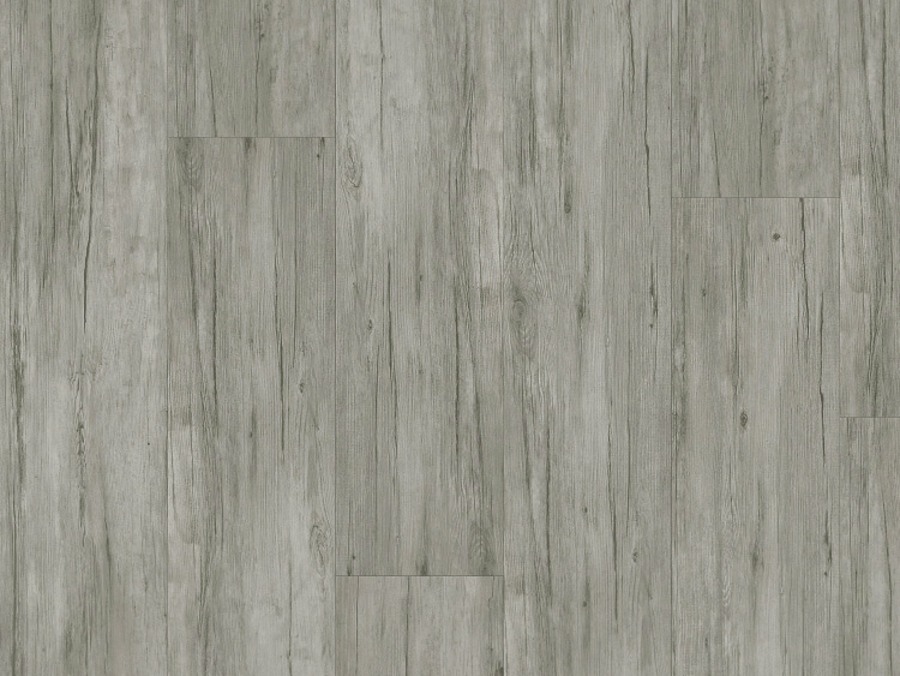 Vinylová podlaha lepená Thermofix PRO Wood Buk arktický