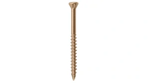 Nerezový vrut Mex Classic Antique A2, 5×50 mm – 200 ks + bit