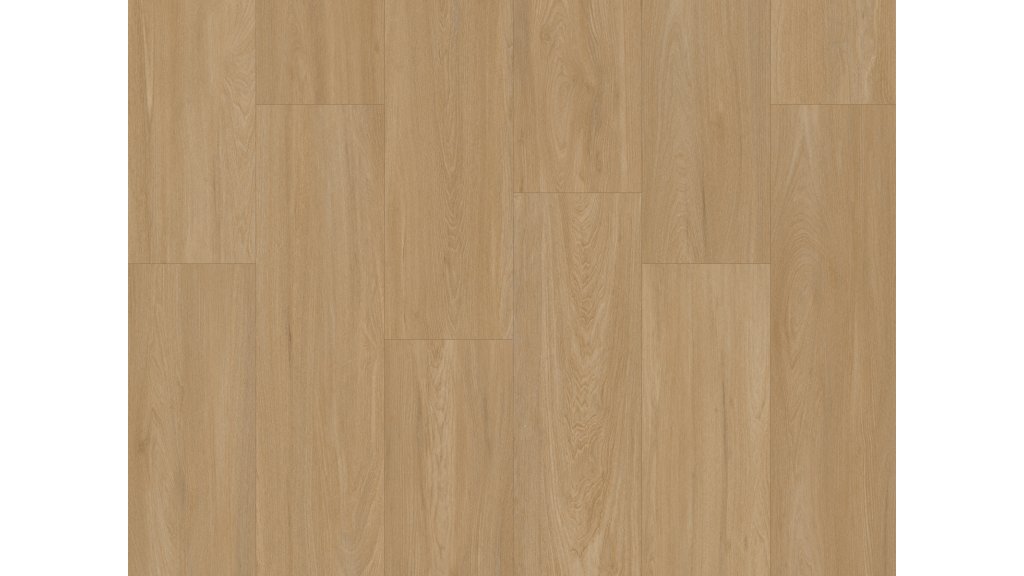 Vinylová podlaha lepená Aspecta Excellence XL GD55 Carrick