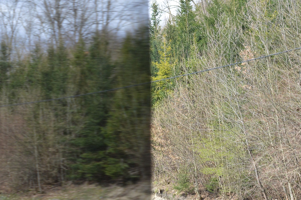 Síťovina protipylová